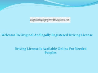 Driving License Is Available Online For Needed Peoples