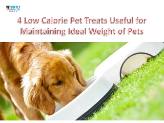 4 Mouth Watering Low Calorie Pet Treats| VetSupply | Australia Best online Pet s