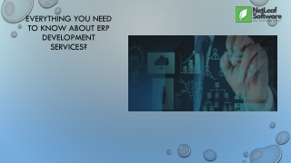 Everything you need to know about ERP development