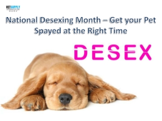 National Desexing Month| VetSupply | Australia Best online Pet store