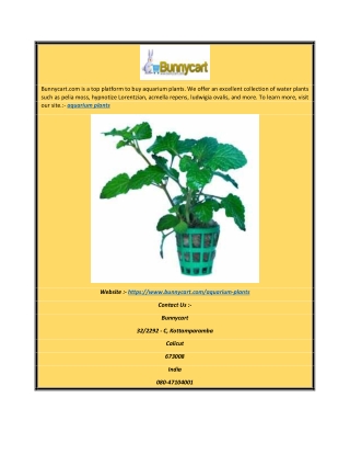 Aquarium Plants | Bunnycart.com
