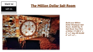 Himalayan Shop Salt Bricks and Plates