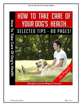 How To Take Care Of Your Dog’s Health