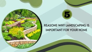 5 Reasons Why Landscaping is Important for Your Home