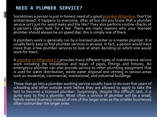 Need a Plumber Service