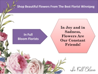 Shop the Fresh & Beautiful Flowers from the Best Florists Winnipeg