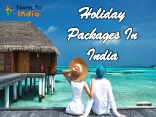 Holiday Packages in India