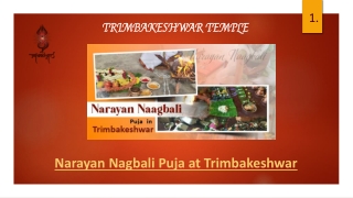 Narayan Nagbali Puja Vidhi, Benefits, Cost and Dates