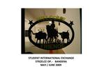 STUDENT INTERNATIONAL EXCHANGE STRZELCE OP. - BANDERA MAY