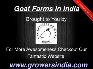 Goat Farms in India