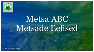Mis on Metsade Eelised | Metsa ABC