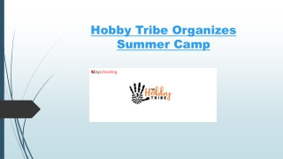 Hobby Tribe Organizes Summer Camp