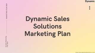 Dynamic Sales Solutions Marketing Plan 2021