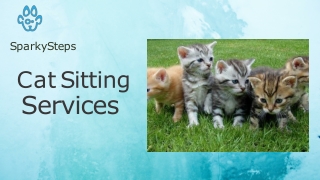 Cat Sitting Services