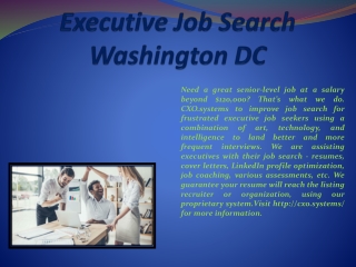 Executive Job Search Washington DC