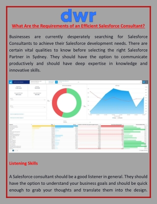 What Are the Requirements of an Efficient Salesforce Consultant