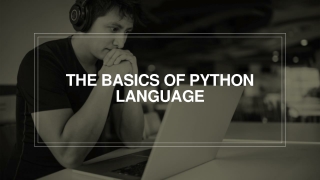 The Basics Of Python Language