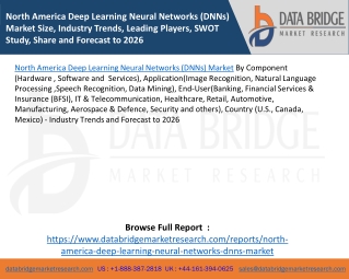 North America Deep Learning Neural Networks (DNNs) Market Size, Industry Trends, Leading Players, SWOT Study, Share and