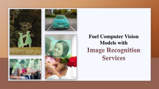 Fuel Computer Vision Models with Image Recognition Services-Damco Solutions