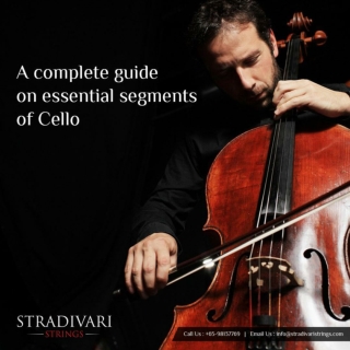 A complete guide on essential segments of Cello