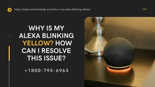 Why Alexa Blinking Yellow Again and Again? 1-8007956963 Yellow Light On Alexa