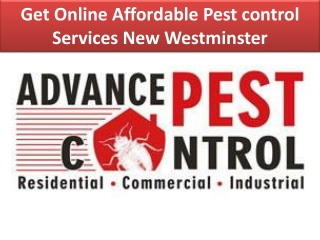 Mouse Control New Westminster