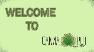 Order cannabis seeds online - Cannapot