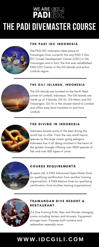 PADI Divemaster Gili Islands - Gili Islands PADI DM AND IDC