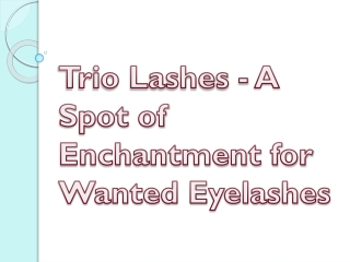 Trio Lashes - A Spot of Enchantment for Wanted Eyelashes