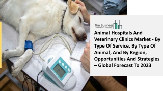 Animal Hospitals And Veterinary Clinics Market Size, Growth, Trends and Research