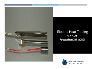 Segment Analysis on Electric Heat Tracing Market
