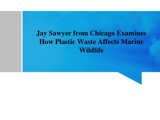 Jay Sawyer from Chicago Examines How Plastic Waste Affects Marine Wildlife