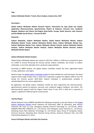 Sodium Methylate Market Analysis.docx