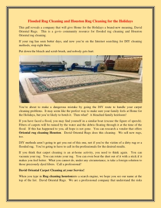 Rug cleaning Houston and Oriental rug cleaning Houston for the Holidays