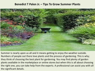 Benedict T Palen Jr. – Tips To Grow Summer Plants