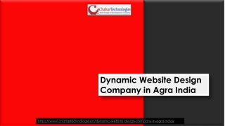 Dynamic Website Design Company in Agra India