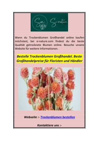 Bestelle Trockenblumen Großhandel. Beste Großhandelpreise für Floristen und Händler