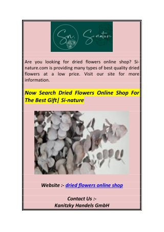 Now Search Dried Flowers Online Shop For The Best Gift Si-nature