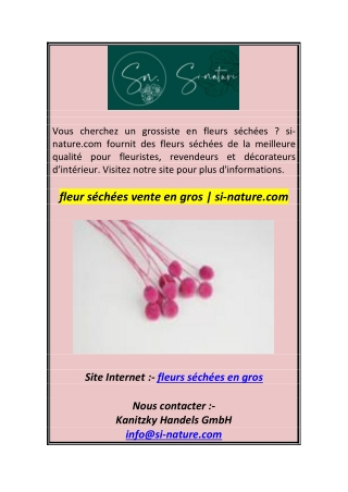 fleur séchées vente en gros  si-nature.com