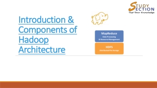 Introduction & Components of Hadoop Architecture