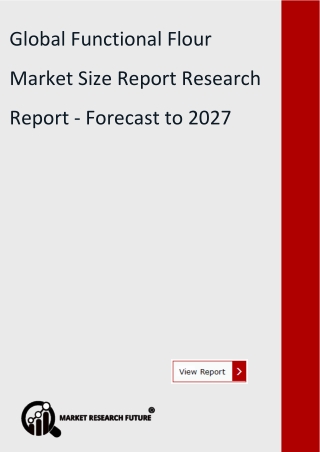 Functional Flour Market Size