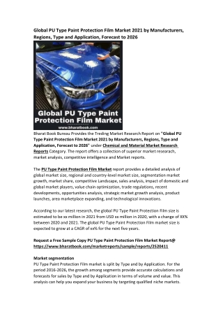 Global PU Type Paint Protection