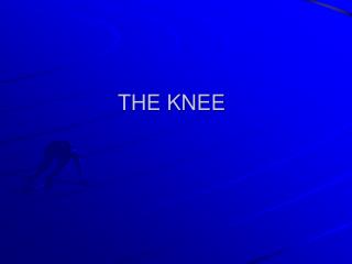 THE KNEE