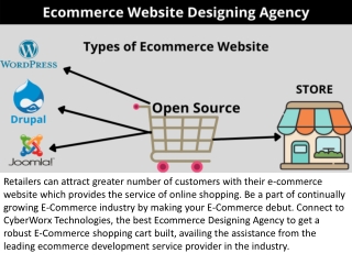 Best Ecommerce Website Designing Agencies