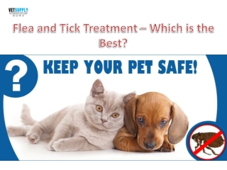 Flea and Tick Treatment - Which is the best for pet?|VetSupply | Australia Best