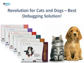 Revolution For Cats and Dogs Best Debugging Solution|VetSupply | Australia Best