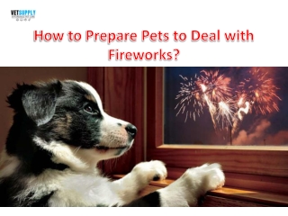 How to prepare pets to deal with Fireworks| VetSupply | Australia Best online Pe