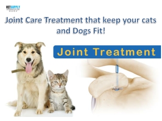 Joint Care Treatment that keep your cats and dogs fit| VetSupply