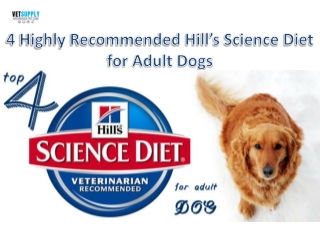 4 Highly Recommended Hills Science Diet for Adult Dogs| VetSupply | Australia Be