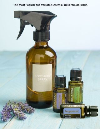 The Most Popular and Versatile Essential Oils From doTERRA